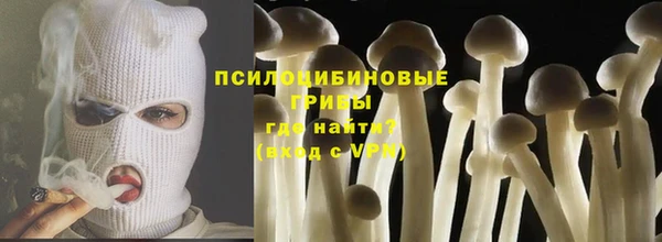 сатива Богданович