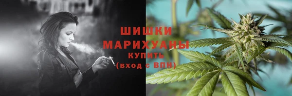 сатива Богданович