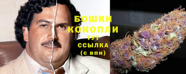 экстази Белокуриха