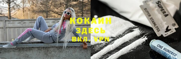 сатива Богданович